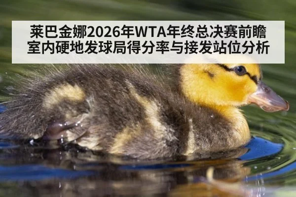 莱巴金娜2026年WTA年终总决赛前瞻 室内硬地发球局得分率与接发站位分析 - nine game